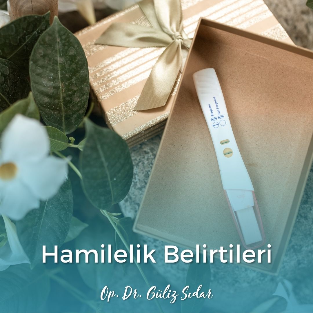 Hamilelik Belirtileri