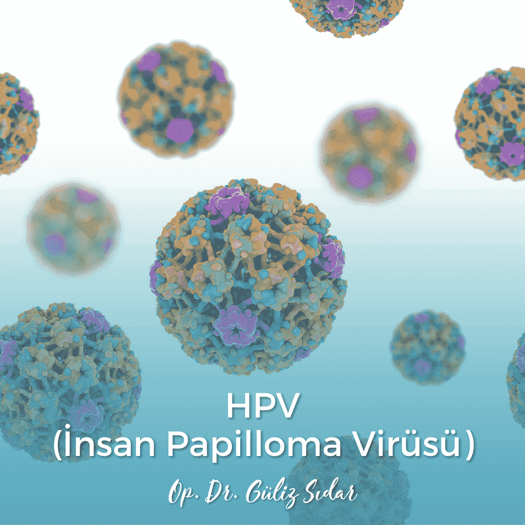 HPV (nsan Papilloma Virs)