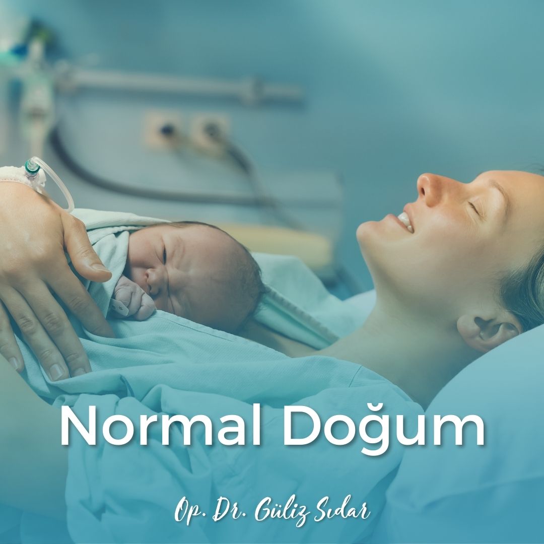 Doal / Normal Doum